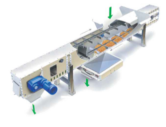 multiple conveyor